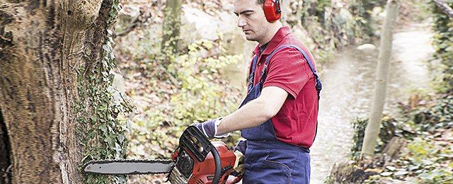 Georges Tree Service