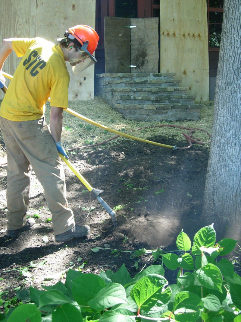 Photo Gallery Madison, WI Stephenson Tree