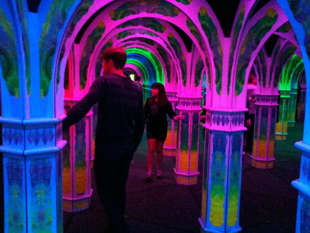 Odditorium & Science Museum Wilmington, NC Antiques & Mirror Maze