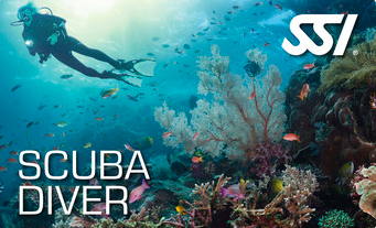 Scuba Diving