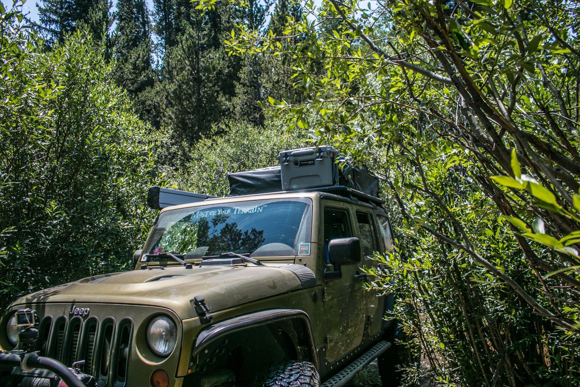 LINEX Protective Coatings