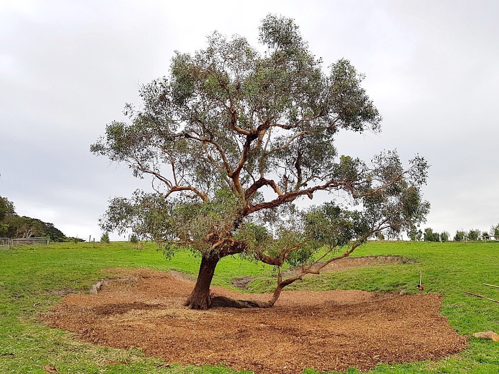 Q&A Can mulch spontaneously combust?