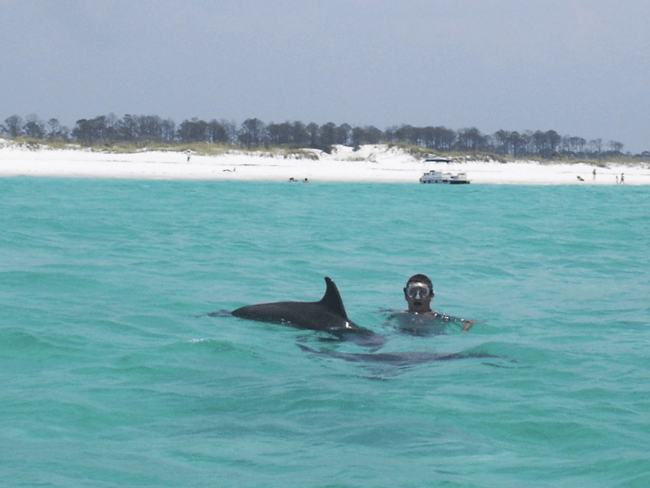 Dolphin Tours in Destin, FL Gilligan's Watersports