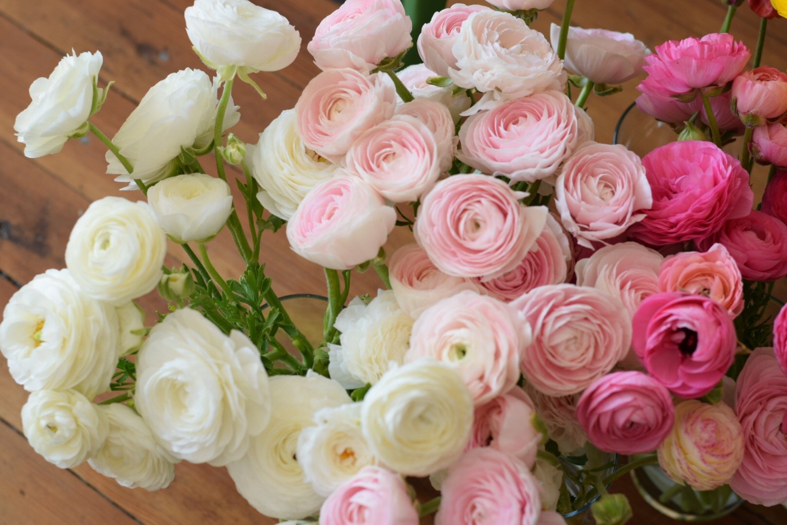 Wedding & Event Florist Cincinnati OH Two Little Buds