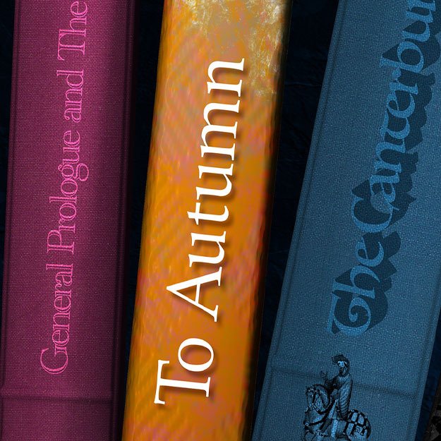 English Literature book spines