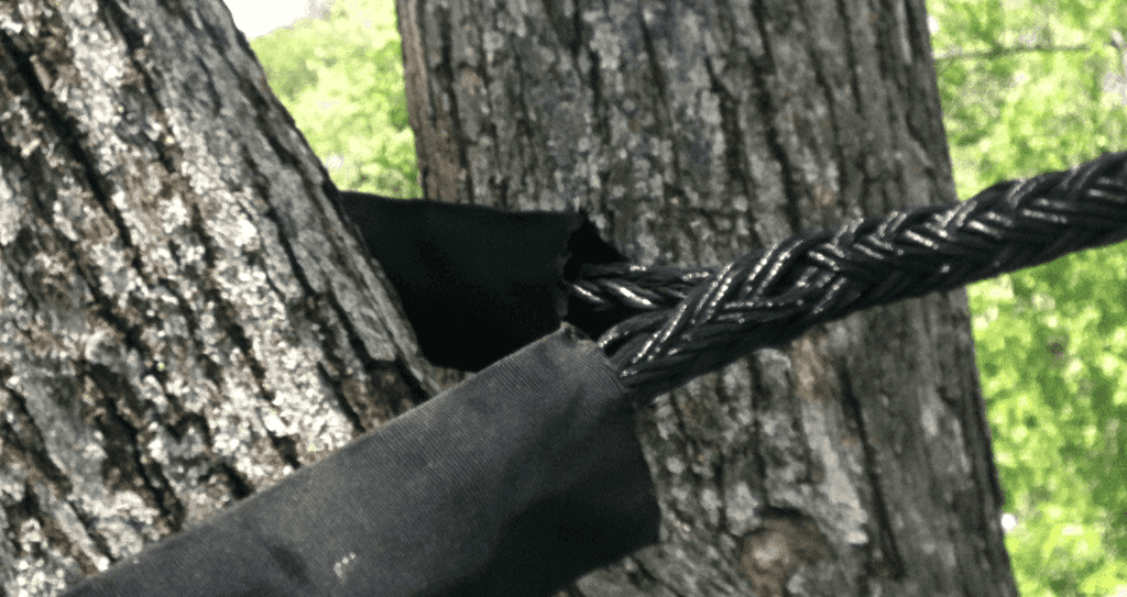 Tree Cabling The Benefits of Synthetic