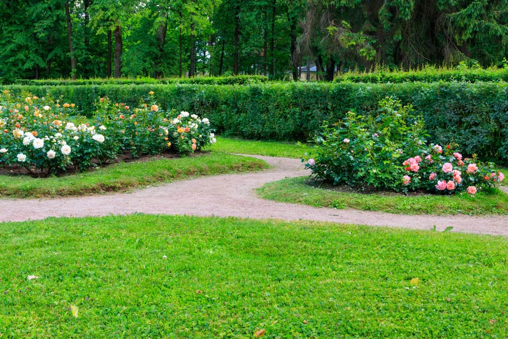 Garden Centre in Bundaberg Avoca Garden Centre