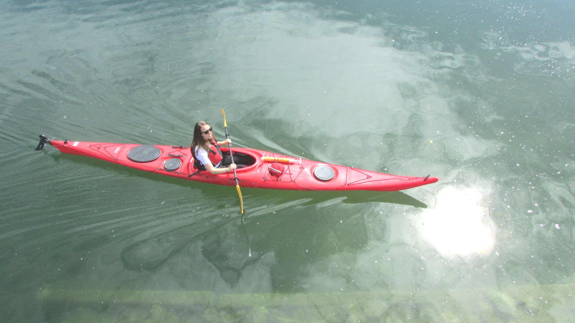 Rocky Point Kayak Kids Paddle & SUP Lessons & Camps Kayak & SUP Rentals