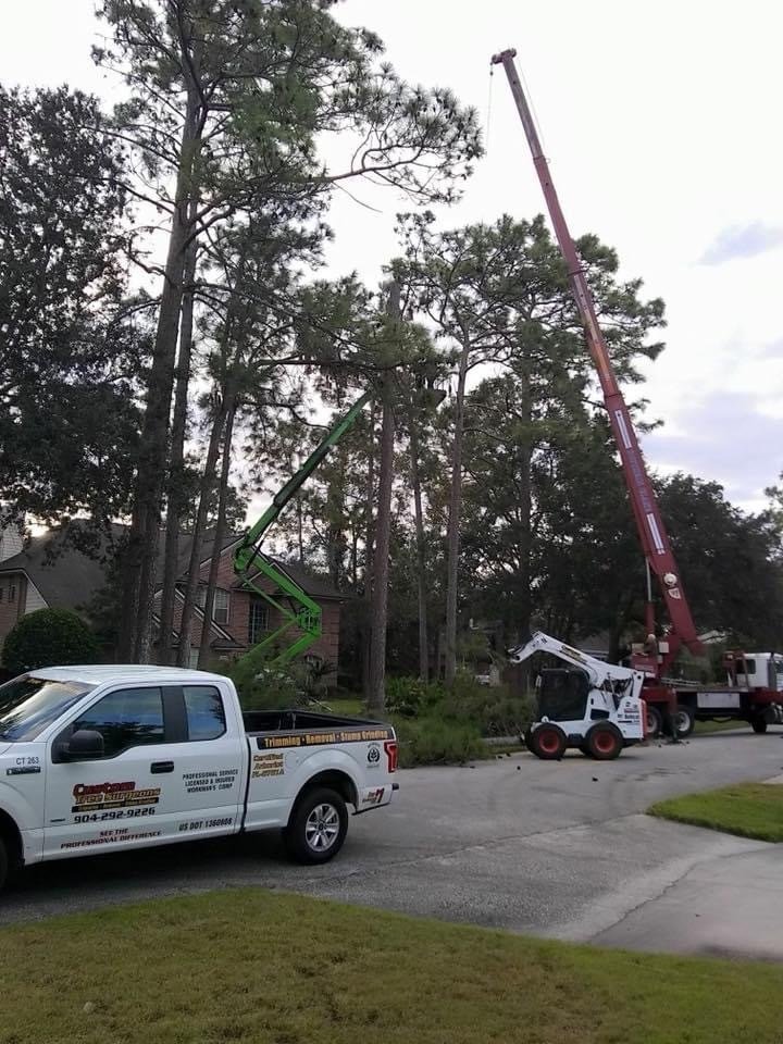 Tree Pruning Jacksonville, FL Custom Tree Surgeons