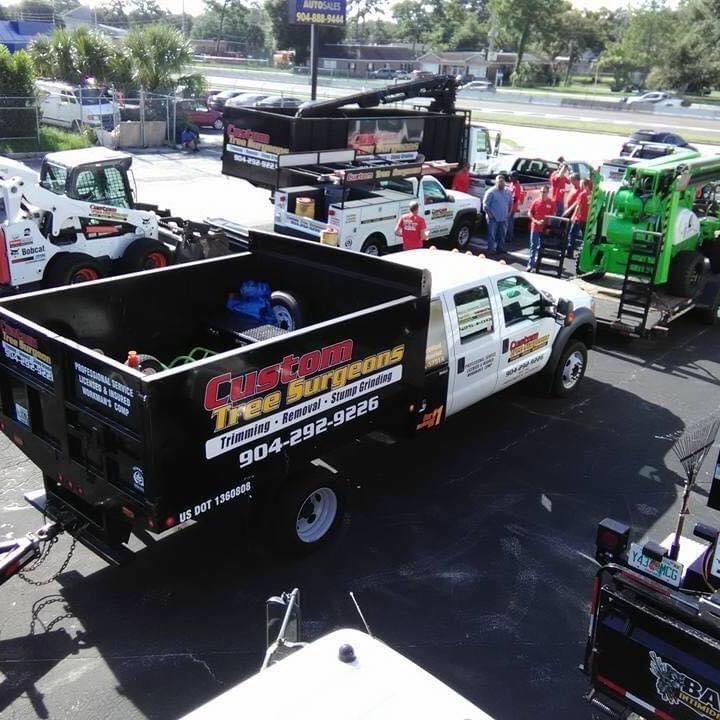 Certified Arborists Jacksonville, FL Custom Tree Surgeons