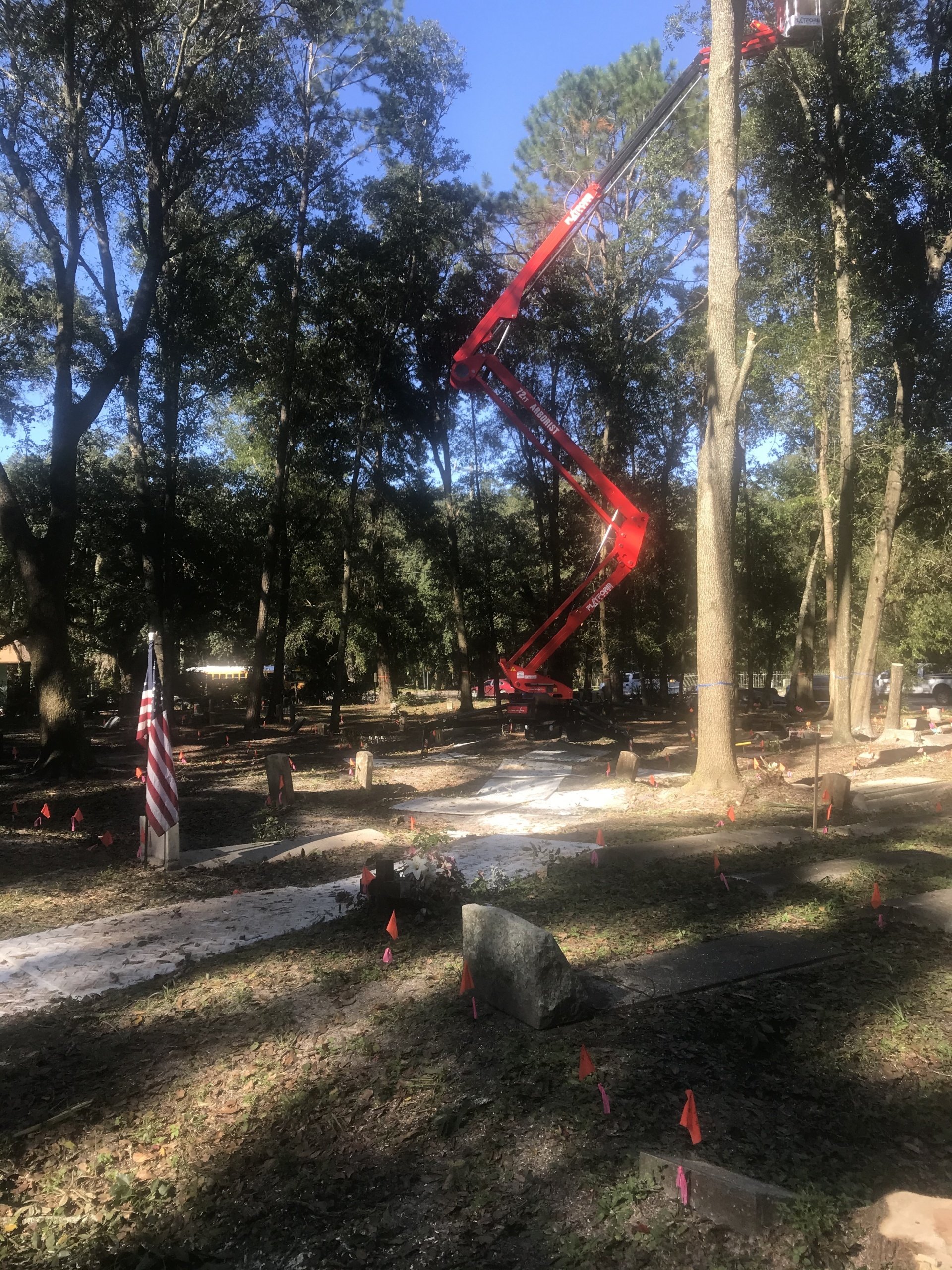Certified Arborists Jacksonville, FL Custom Tree Surgeons