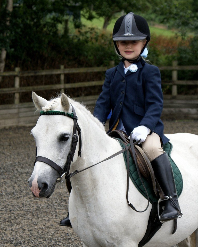 Riding Hat Standards Pony Club at Mark Kittle blog