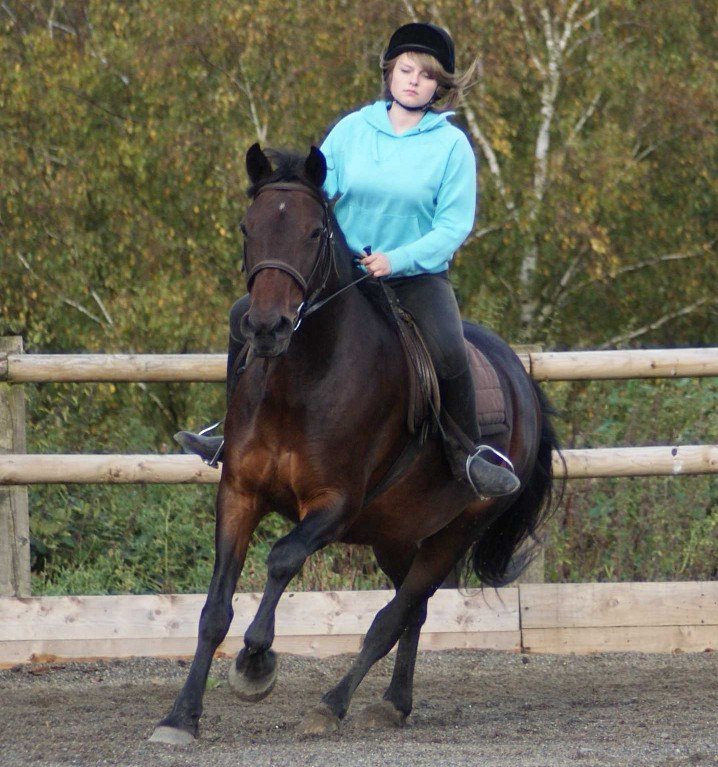 Horse riding equipment by Green Meadow Riding Centre