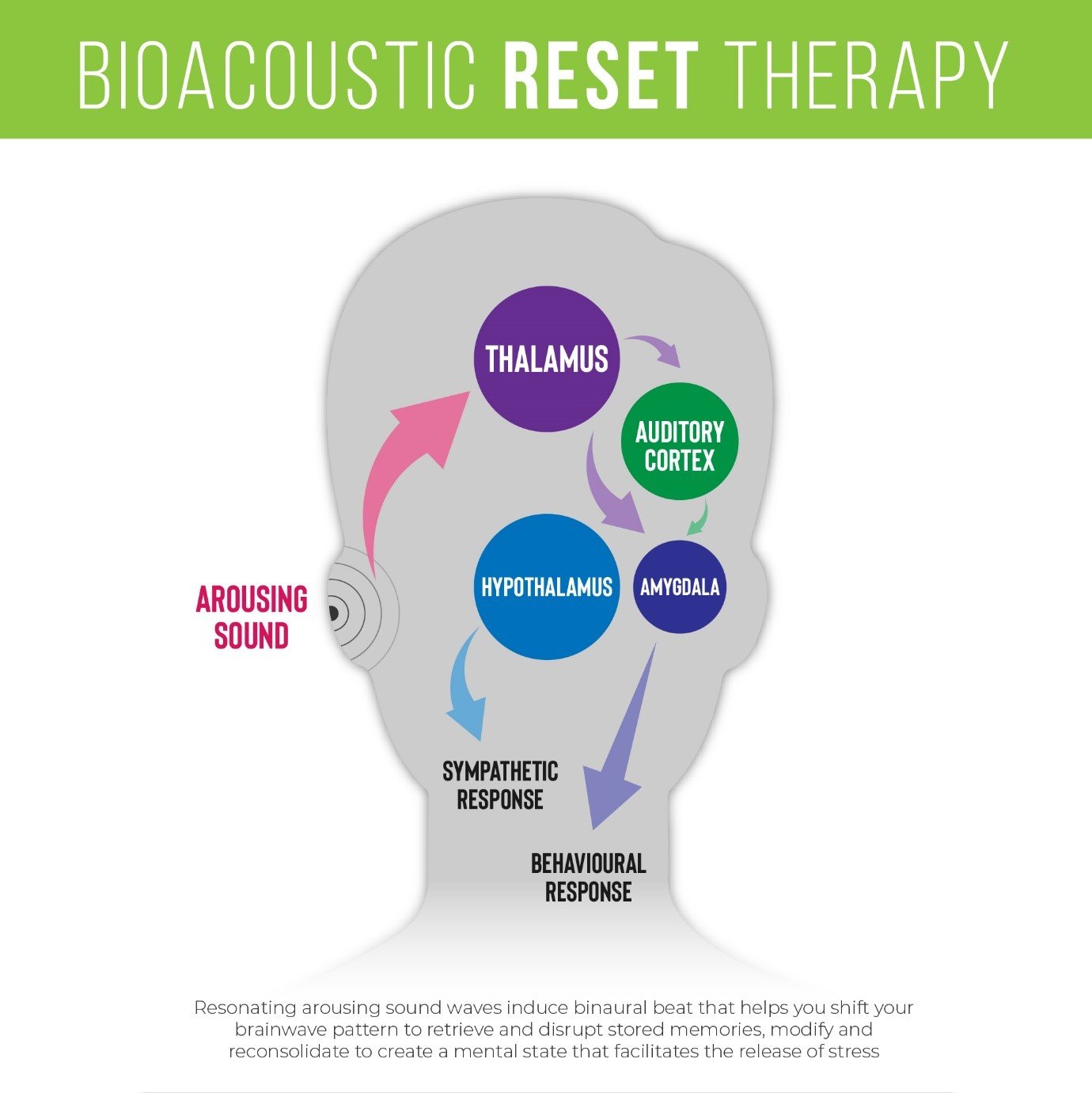 Katalyst Reset Therapy The Mind Coach
