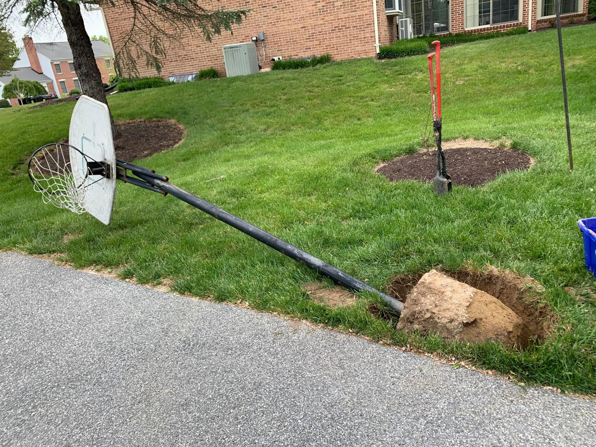 Basketball Hauling & Disposal Services Any Assembly