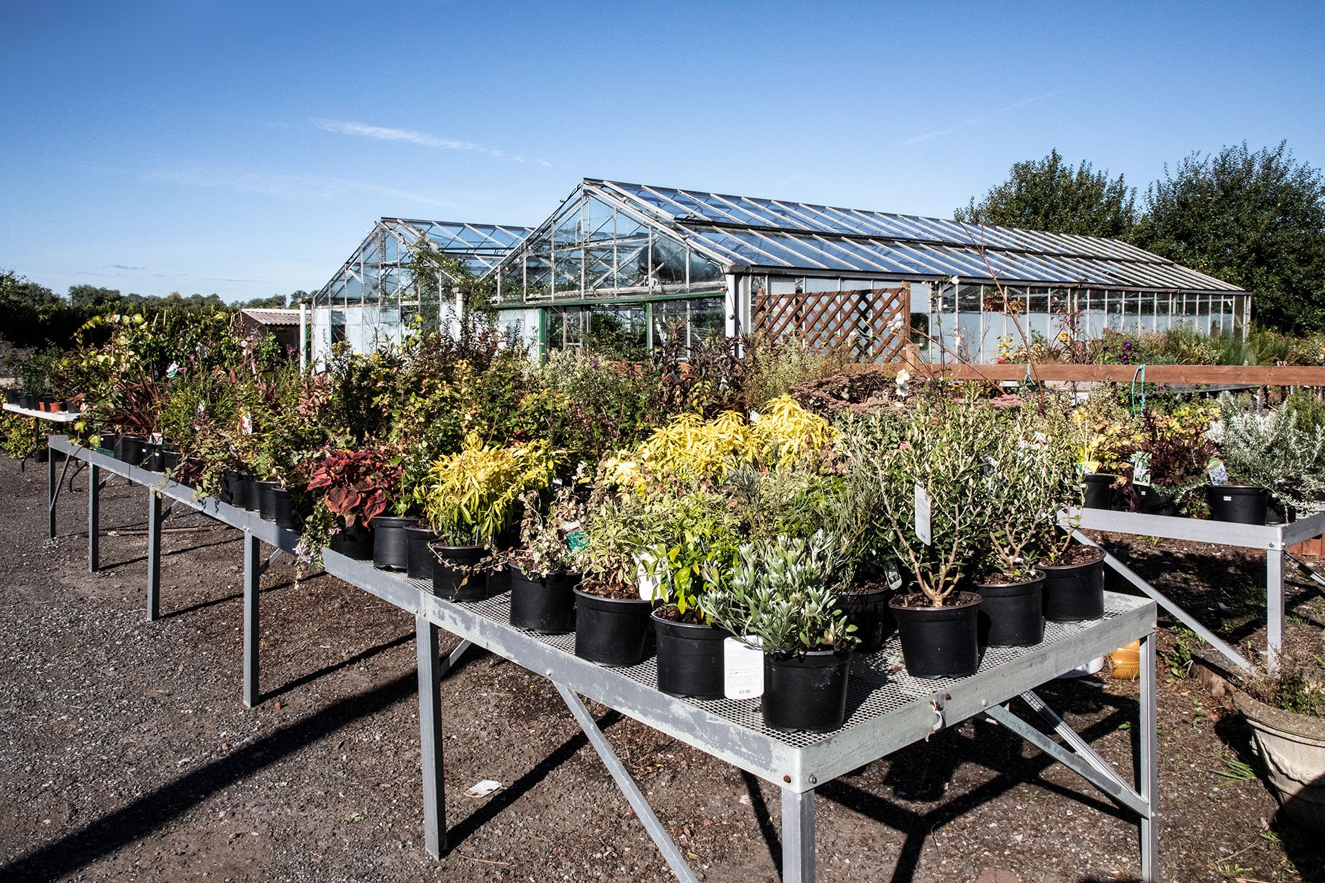 Highquality turfing supplies Manor Garden Centre