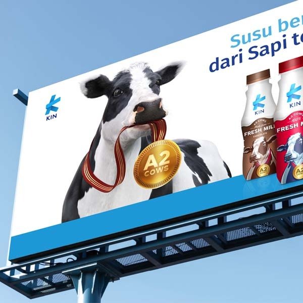 Successfully positioning the KIN dairy milk brand in Indonesia