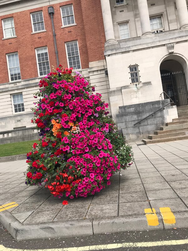 Plant nursery in Chesterfield Low Road Nursery