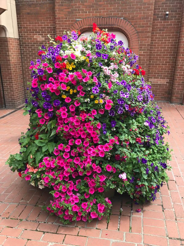 Plant nursery in Chesterfield Low Road Nursery