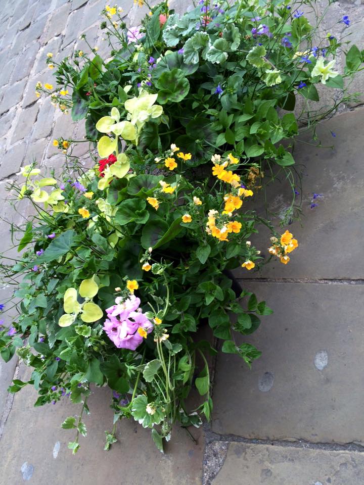 Plant nursery in Chesterfield Low Road Nursery