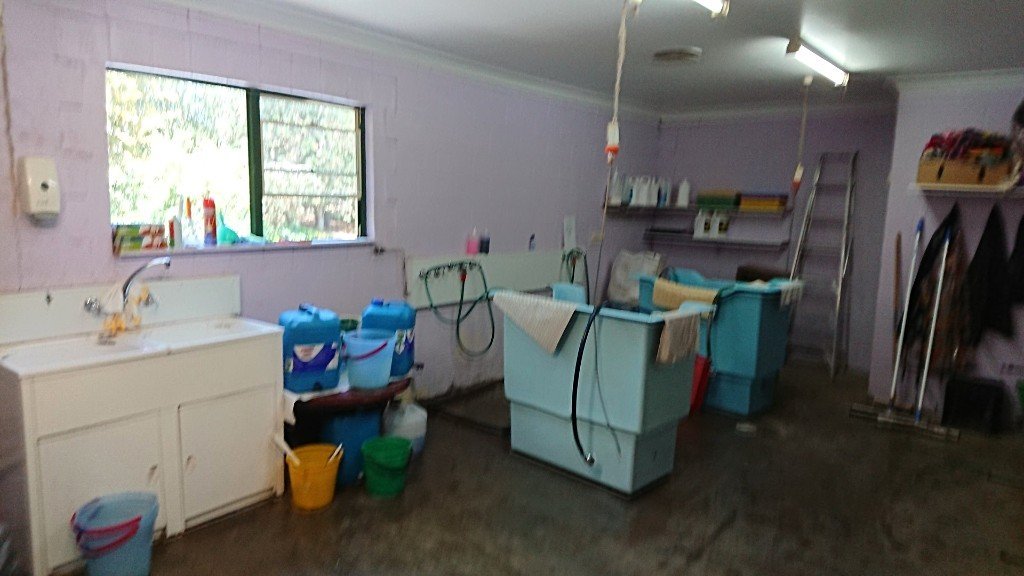 Pet Boarding and Grooming Rates Longford Park Boarding