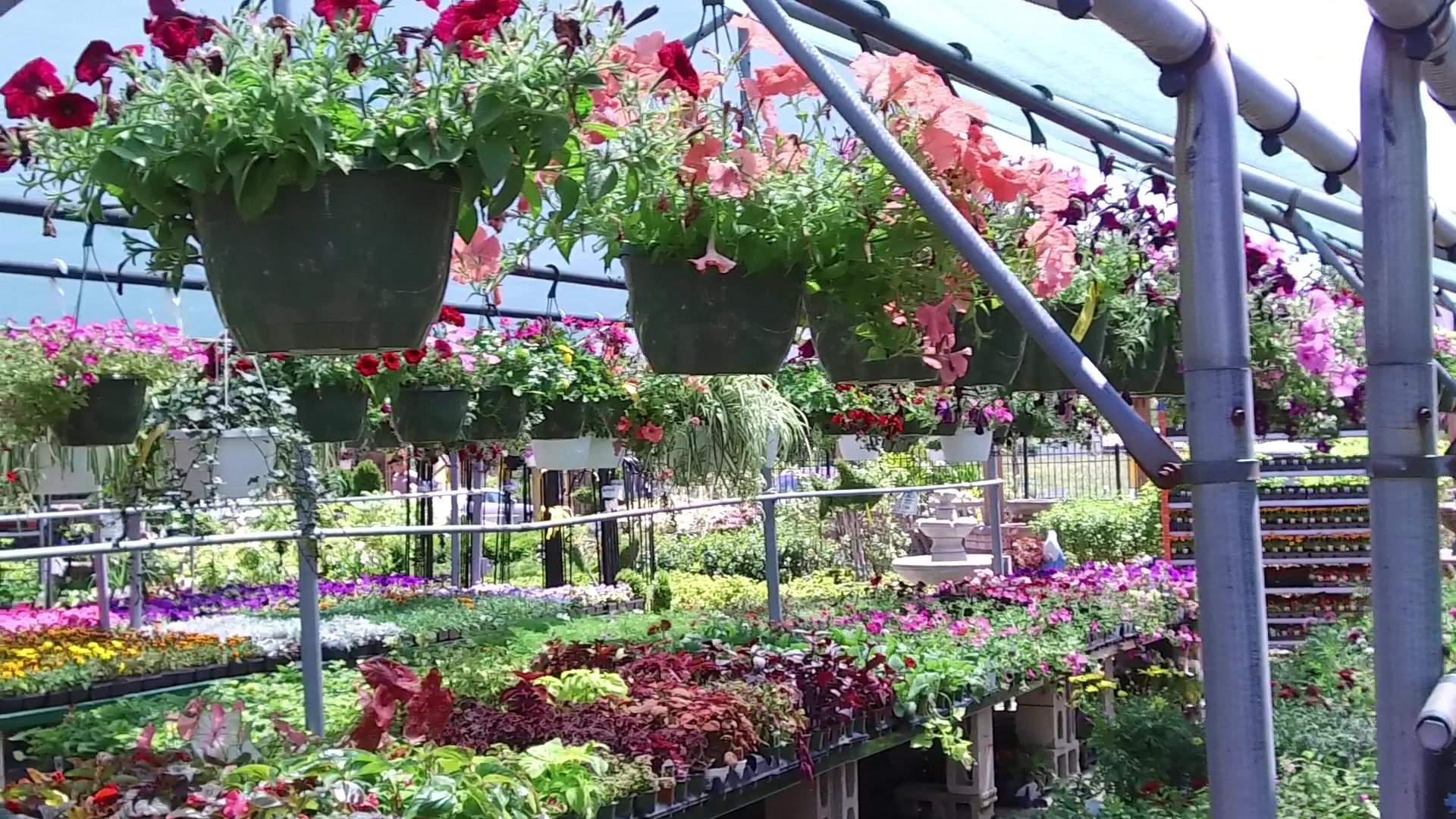 Garden Designers & Landscaping Center | Garden Center Homer Glen & Hinsdale