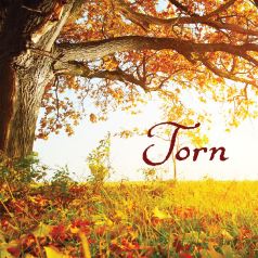 Karen Turner Torn historical drama regency romance author novel