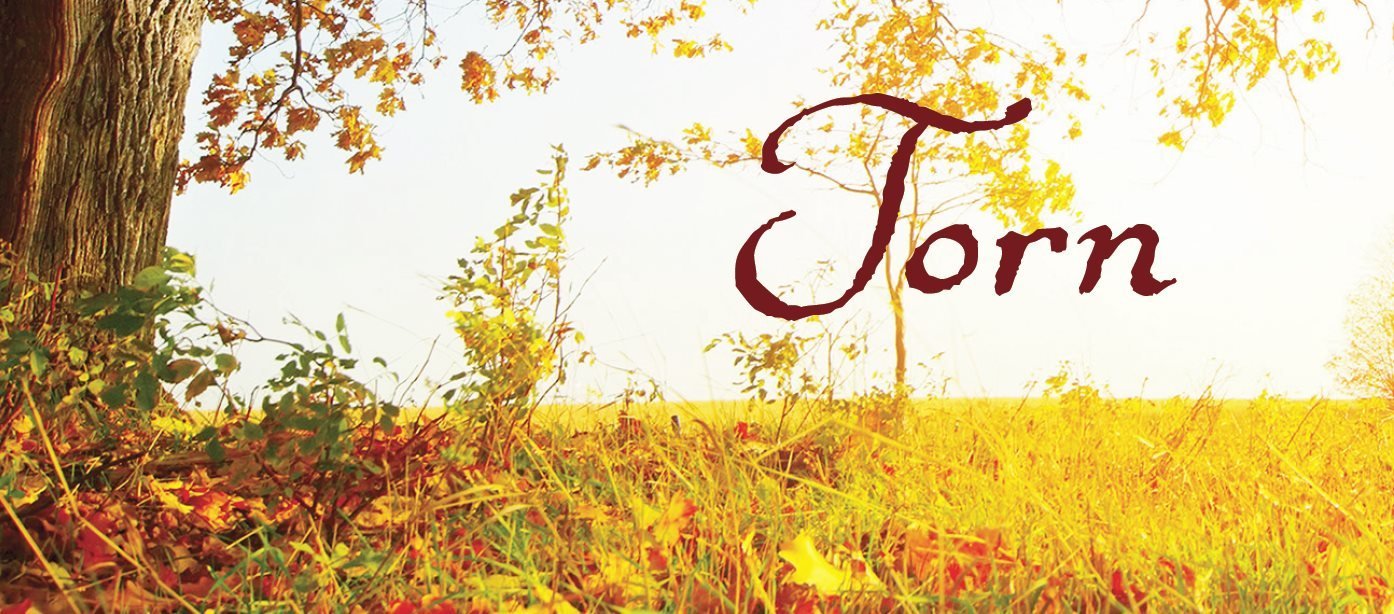 Forbidden love in a time of war