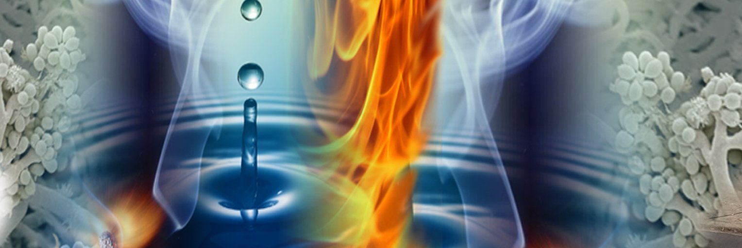 Water, Fire, Mold Damage Restoration Company Richmond, VA