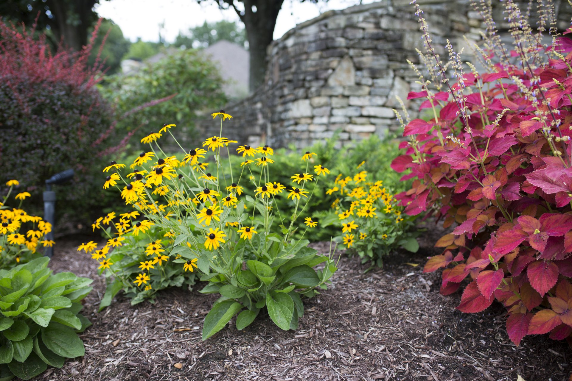 Landscape Designer | Knoxville, TN | McReynolds Horticulture and Design