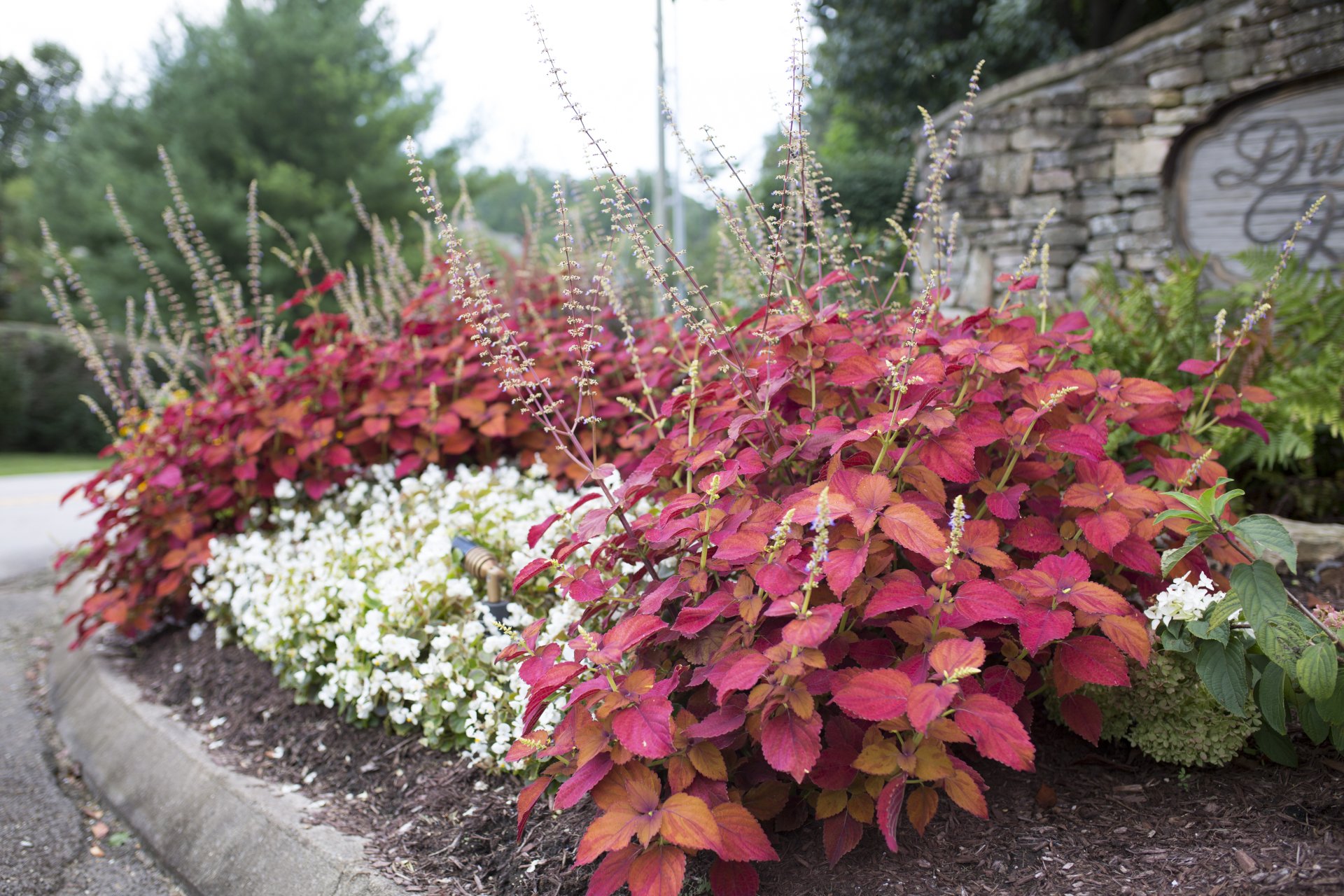 Landscape Company Knoxville, TN McReynolds Horticulture and Design