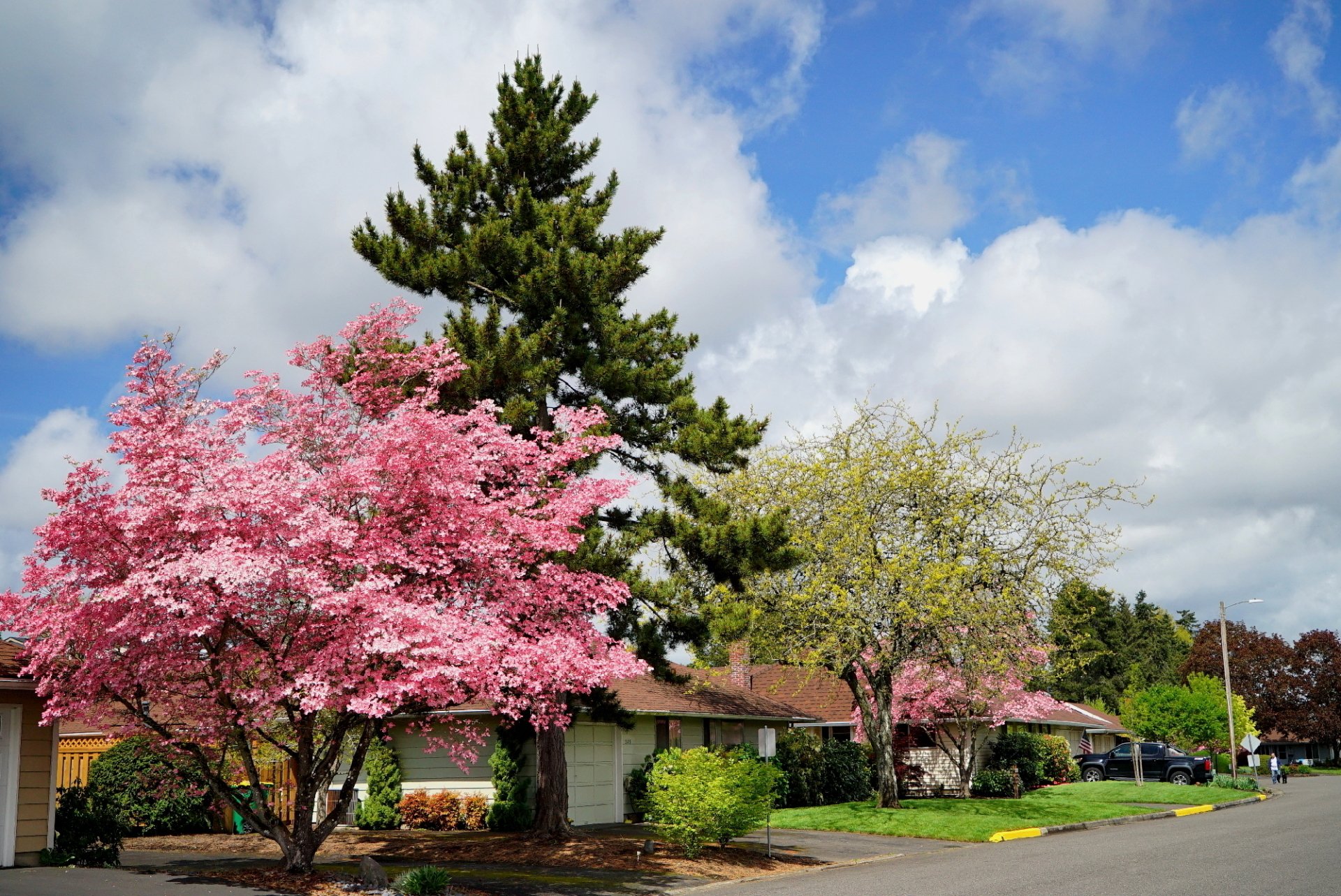 Westbrook Homeowners Association Beaverton OR