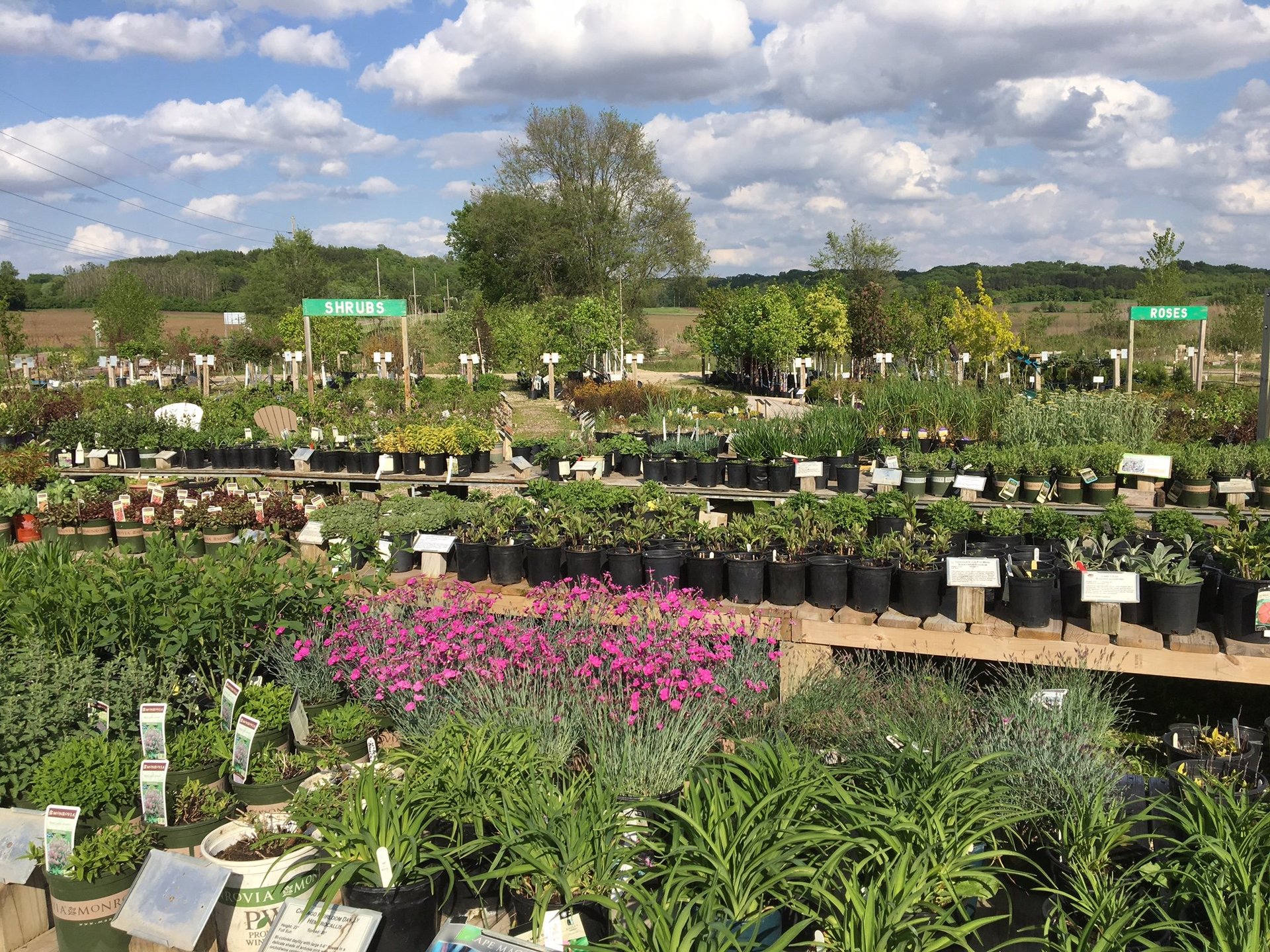 Family Tree Landscape Nursery Rochester MN