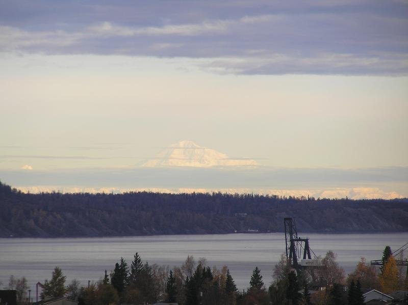 Apartment Floorplans McKinley Tower Apartments