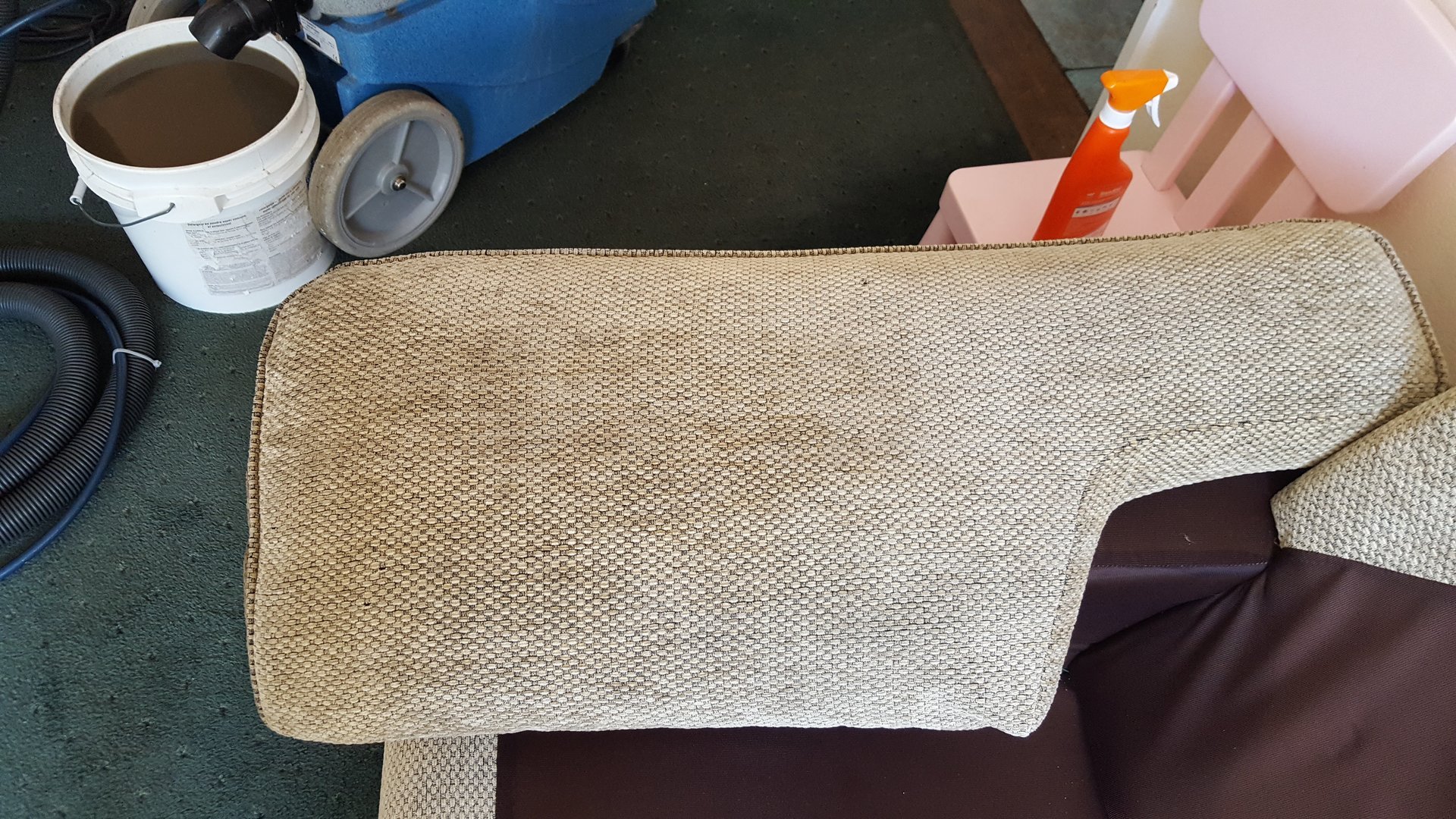 Professional carpet cleaning by Cole Carpet Care