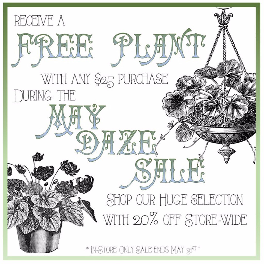 Antique Furniture Ithaca, Corning, & Watkins Glen, NY Antique Shop