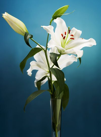 marin funeral home san juan