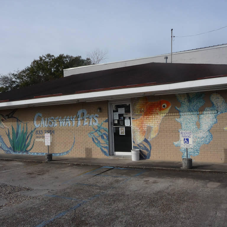 Gallery Metairie, LA Causeway Pets