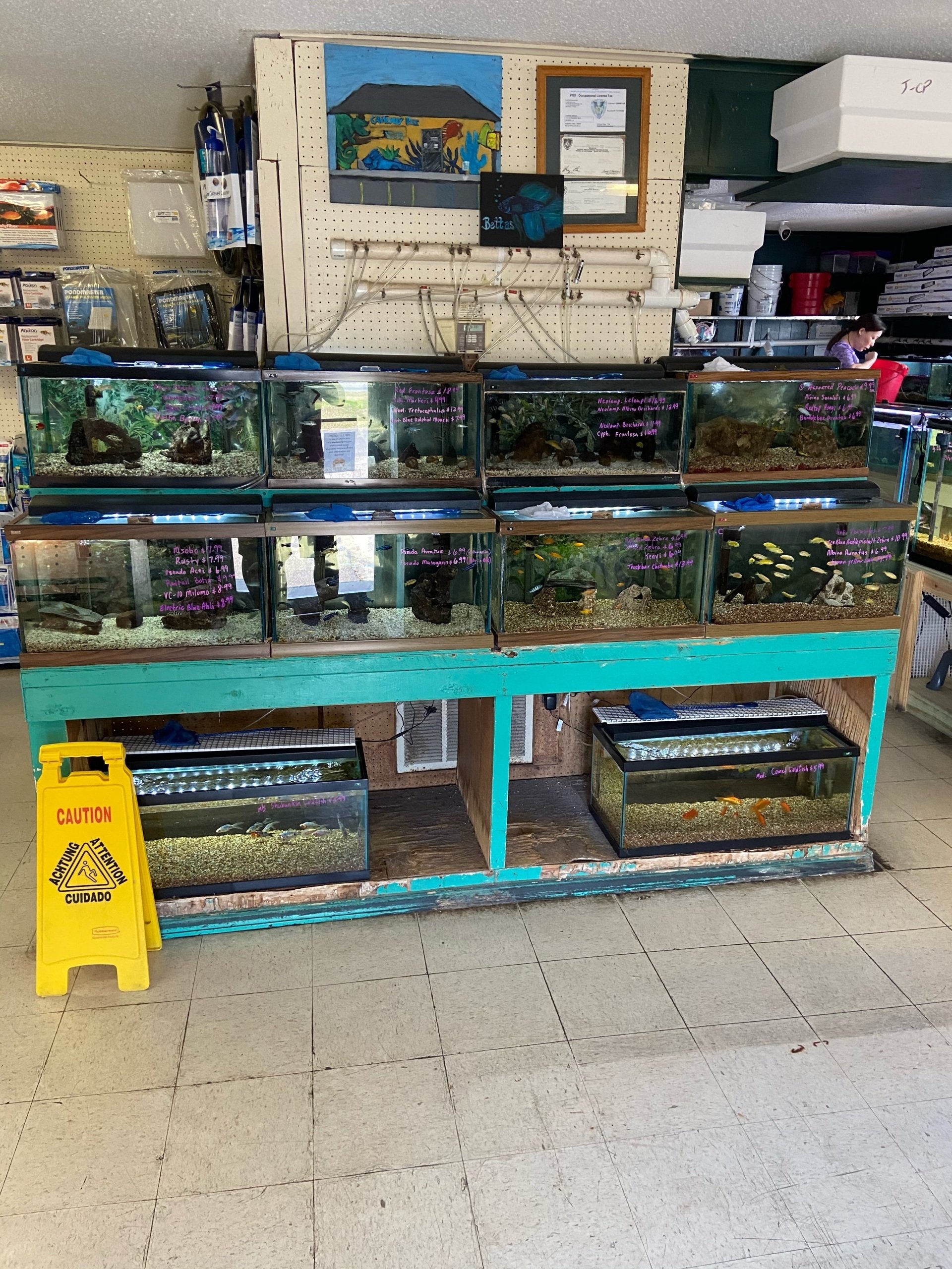 Gallery Metairie, LA Causeway Pets