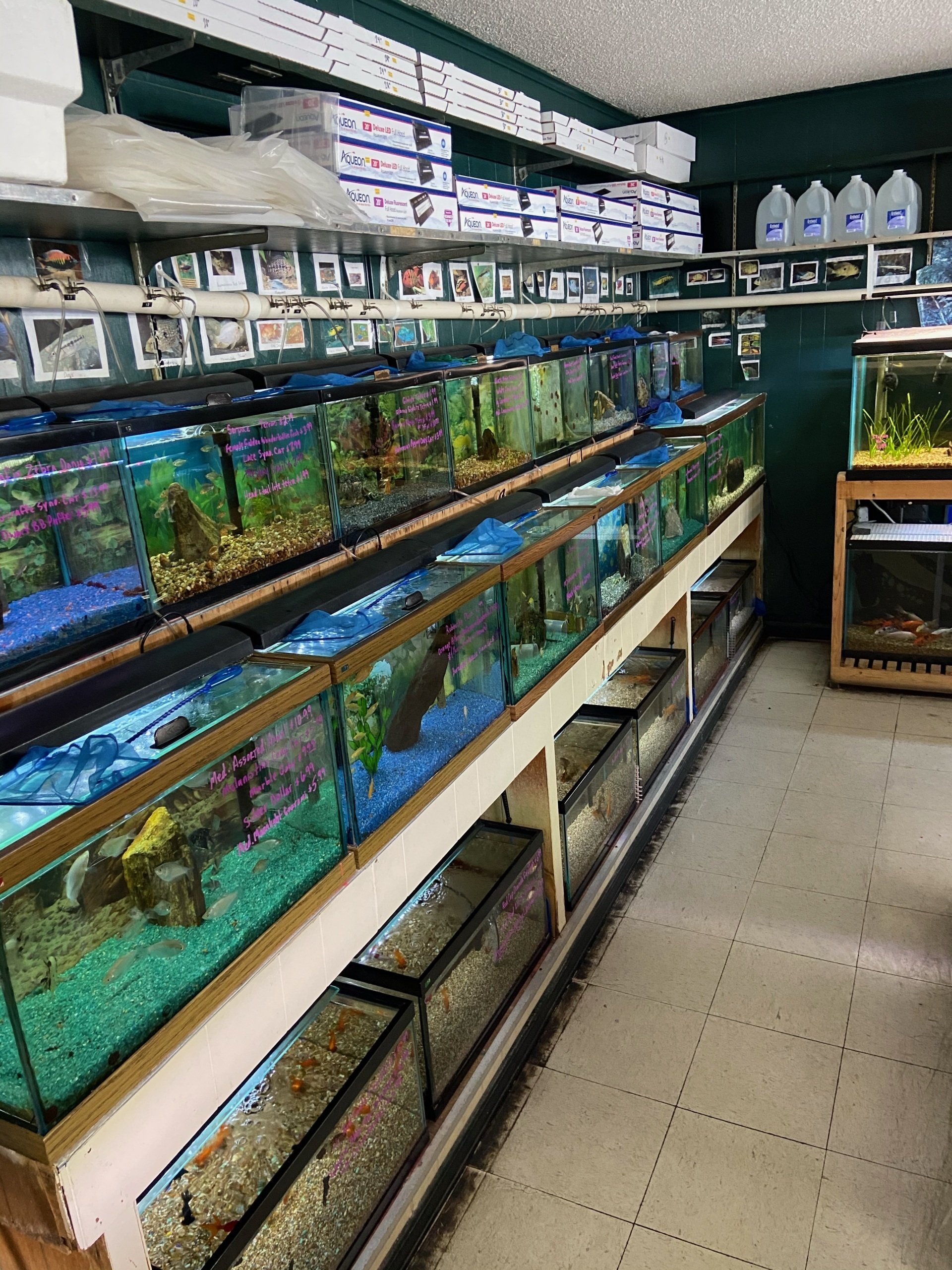 Aquarium Equipment Metairie, LA Causeway Pets