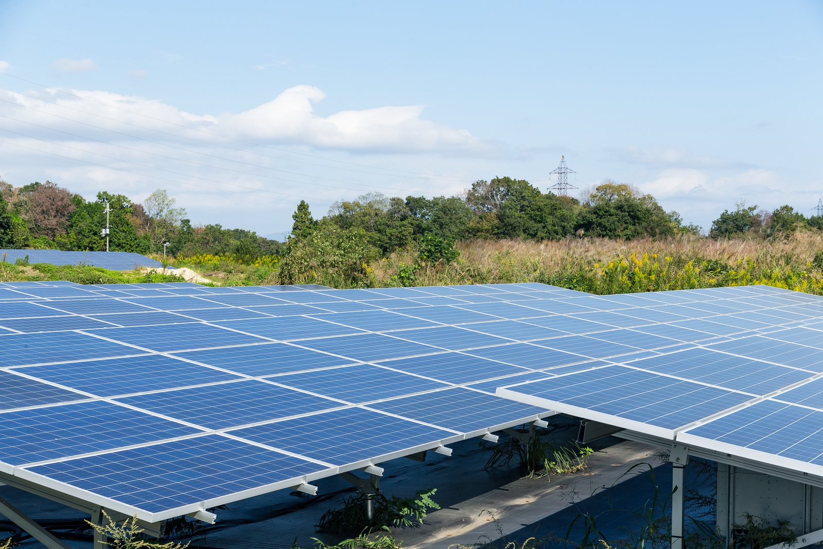 Solar Panels, How Much Do Solar Panels Cost, Cape Coral, FL