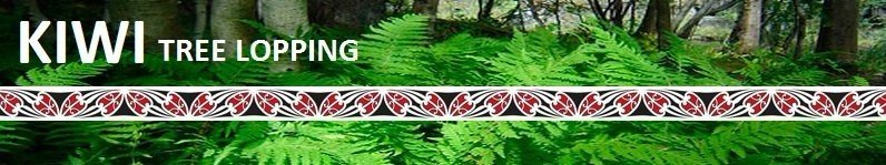 kiwi tree lopping header