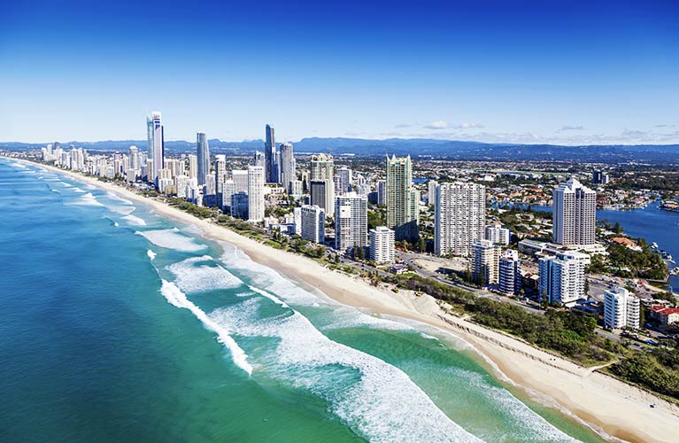 kiwi tree lopping gold coast shore