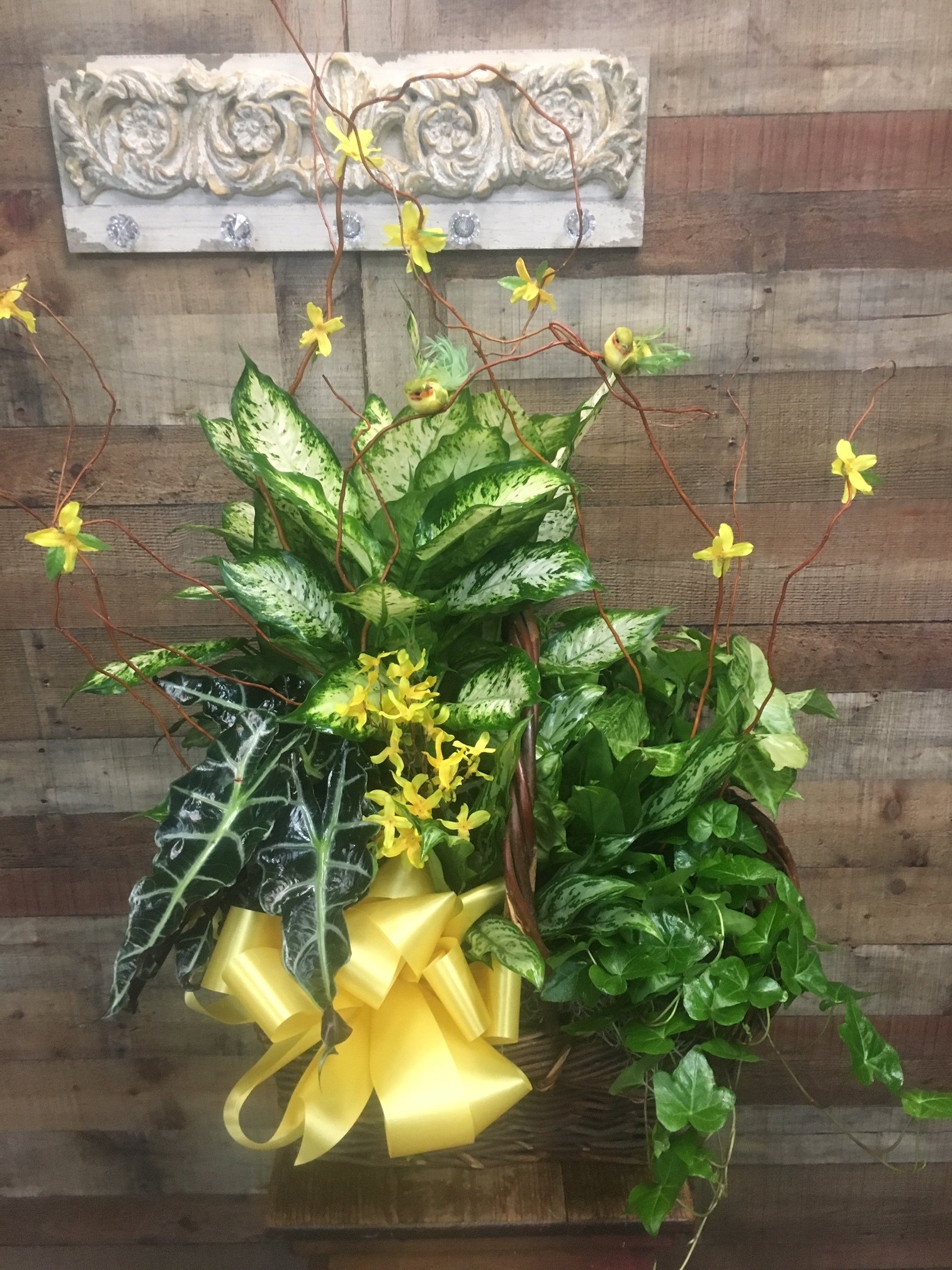 Flowers Houston, TX Darlene's Flower & Gift Shop