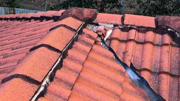 badly damaged ridge capping