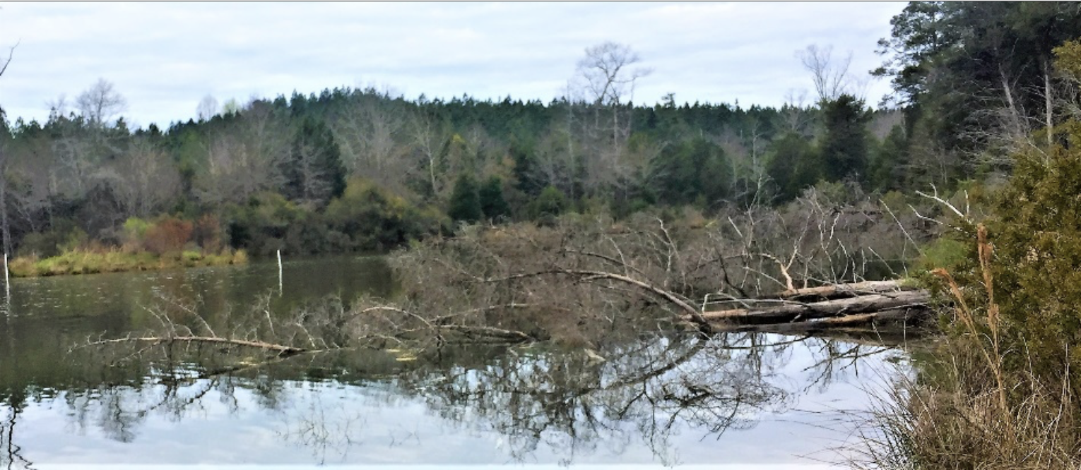 Aquatic Habitat Restoration and Design