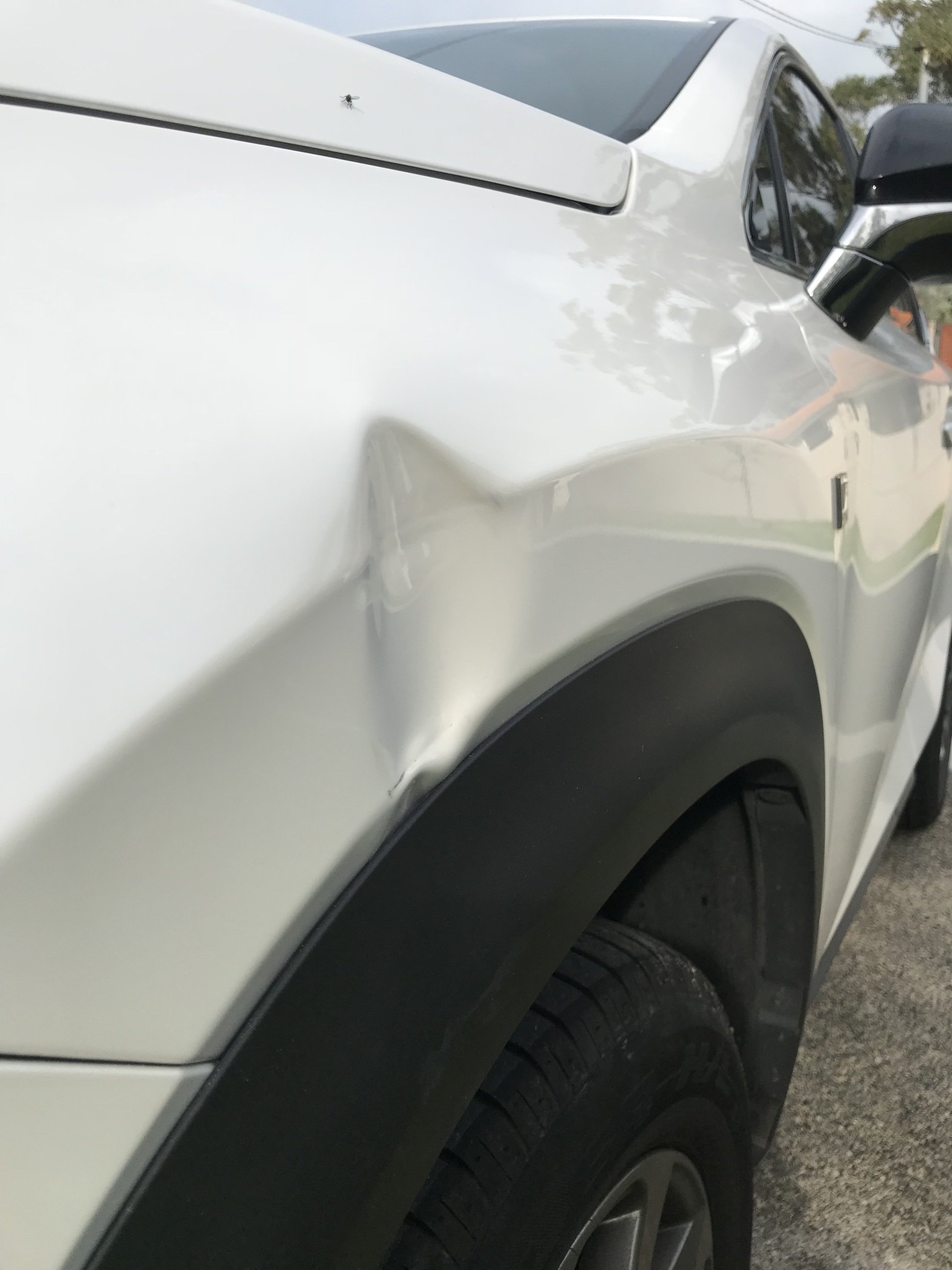 Paintless Dent Removal Perth Australia