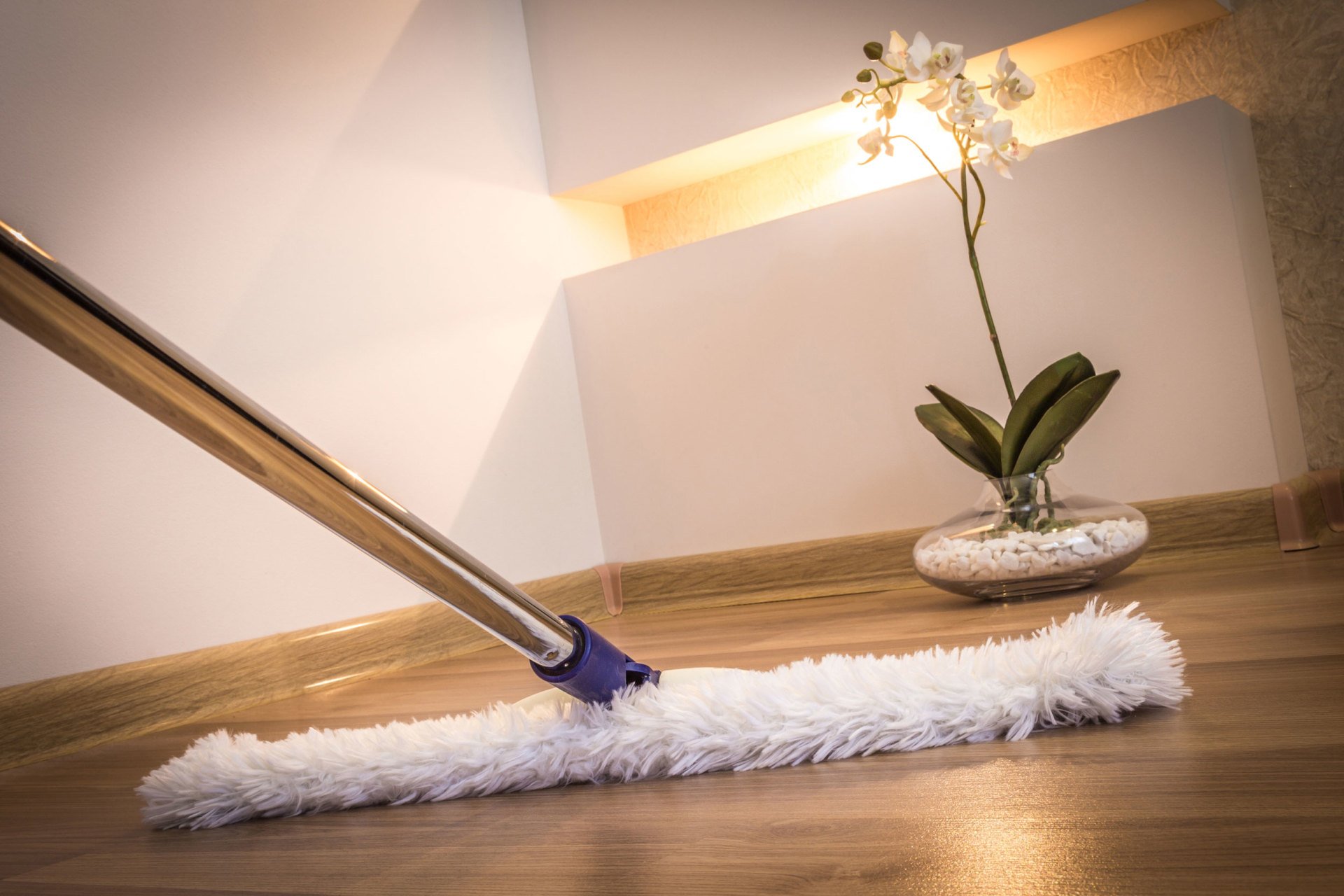 Professional Carpet & Upholstery Cleaning Services in Birmingham