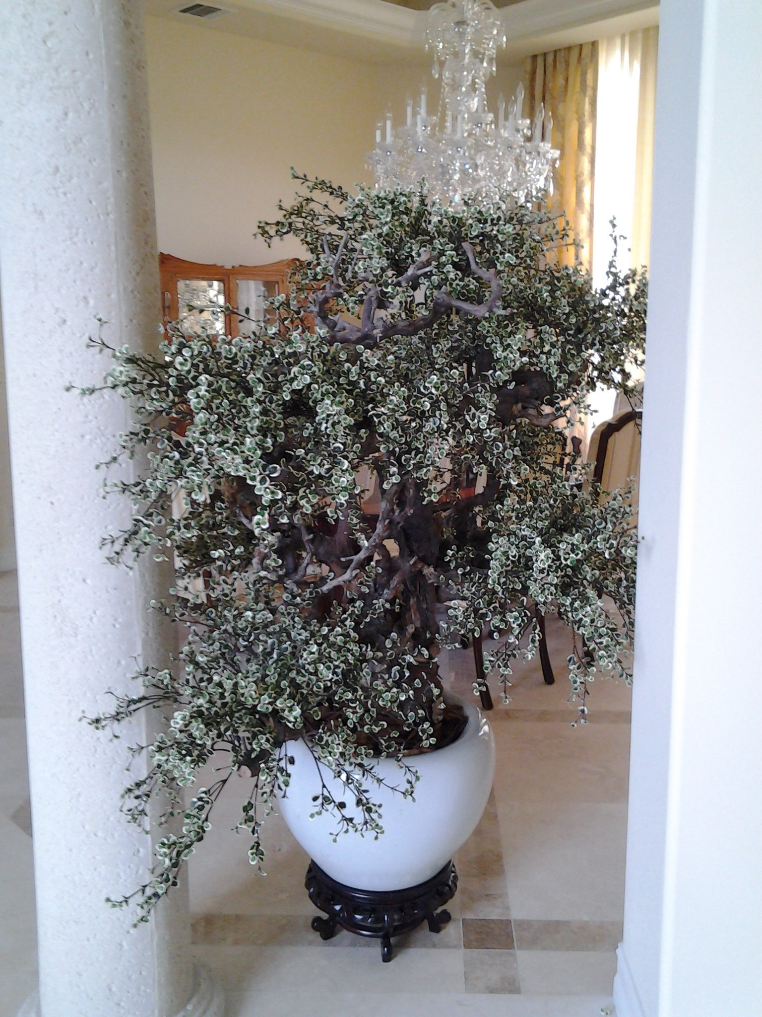 Custom Silk Trees & Plants Boca Raton, FL Creative Collection