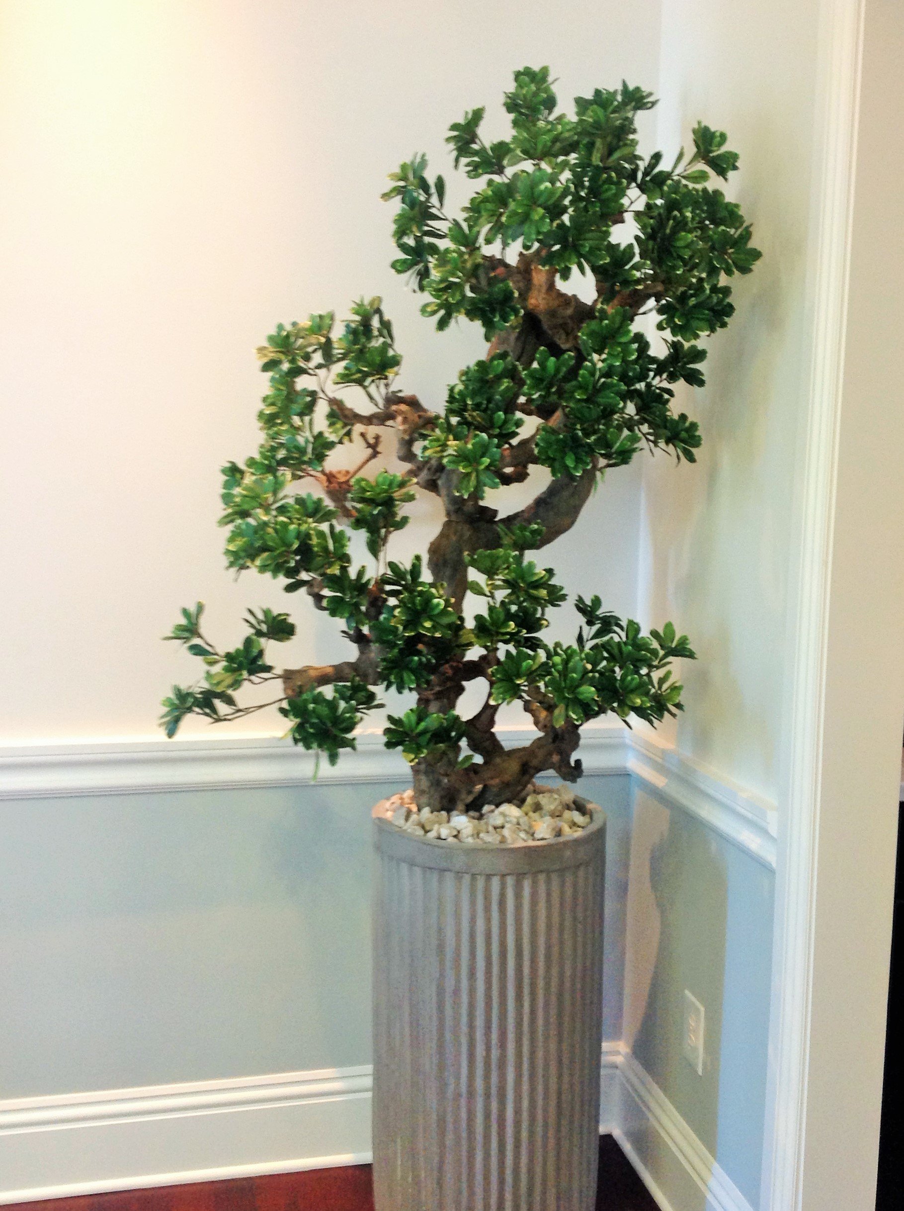 Custom Silk Trees & Plants Boca Raton, FL Creative Collection